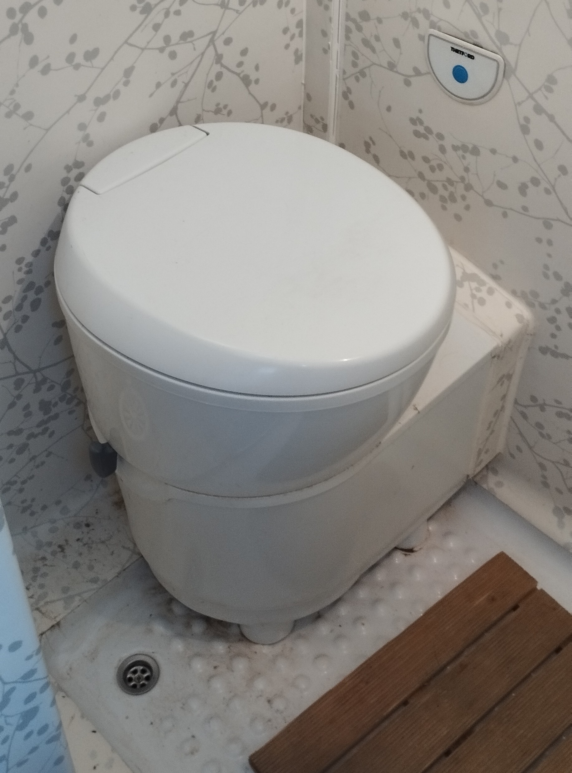 Service image